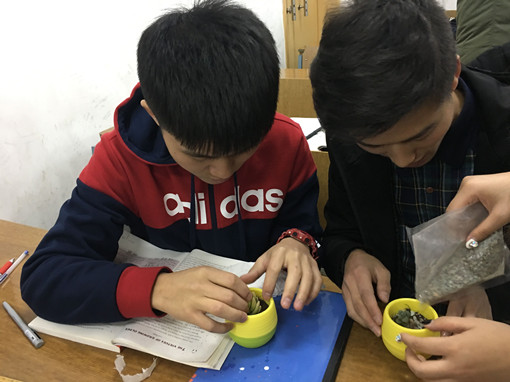 照片2 外语系开展“绿色植物领养活动” (1)_副本.jpg 照片2 外语系开展“绿色植物领养活动” (1)_副本.jpg